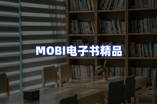 外文电子书产品